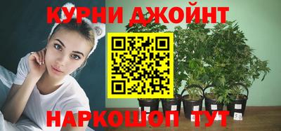 прущие крисы Партизанск