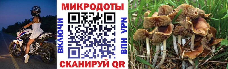 Псилоцибиновые грибы мухоморы Ногинск